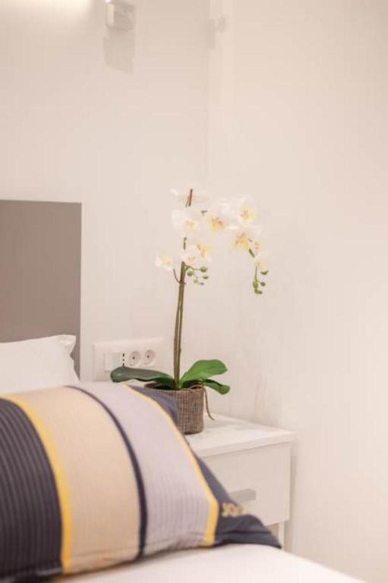 Canta Amore Suites Zadar Buitenkant foto